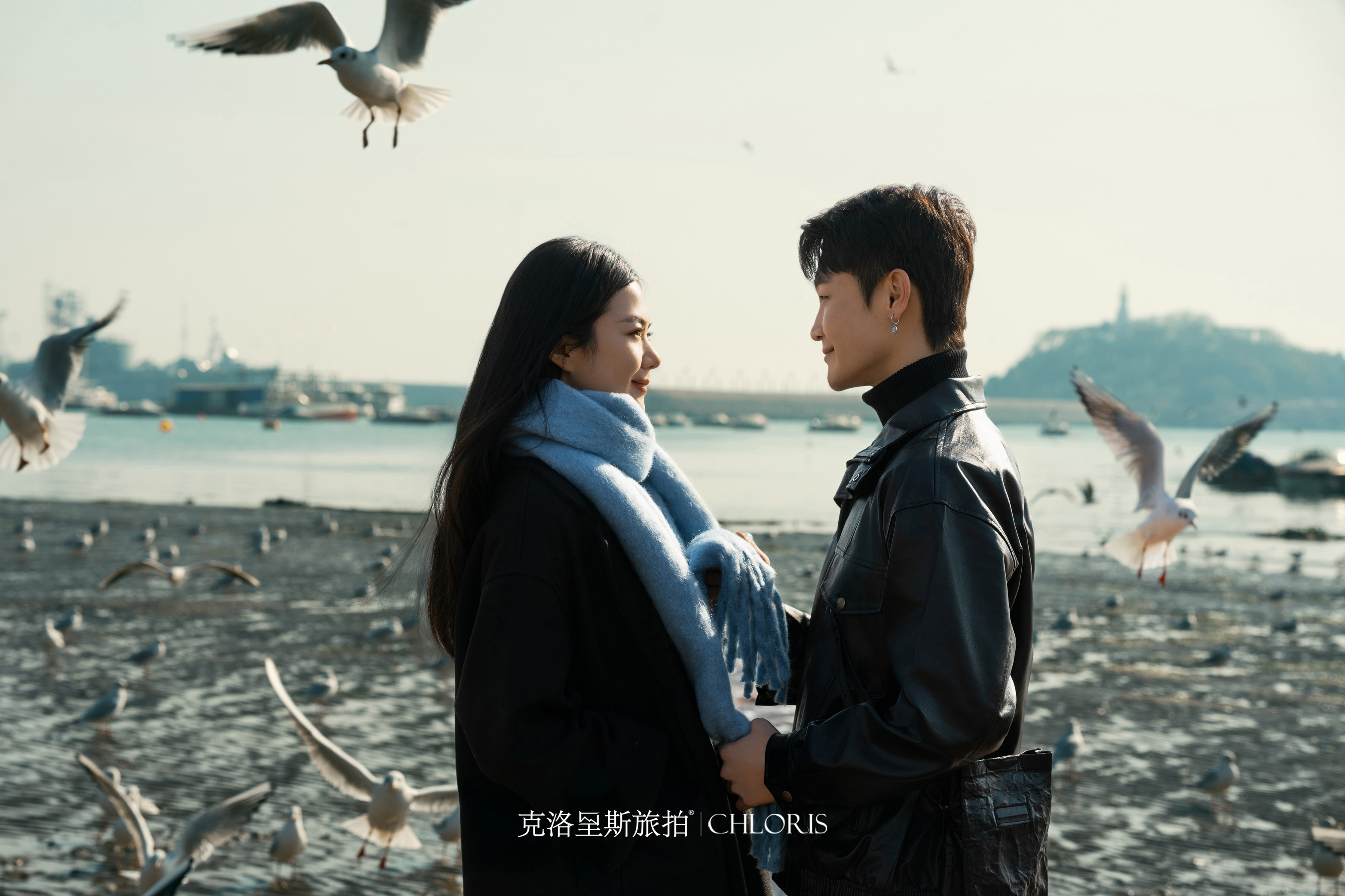 冬季-海鸥婚纱照8